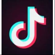 Tiktok Apk V31.3.5 Télécharger 2023